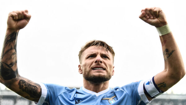 Immobile MG6 9208