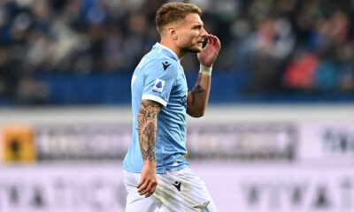 Immobile MG8 7443