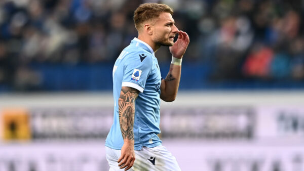 Immobile MG8 7443