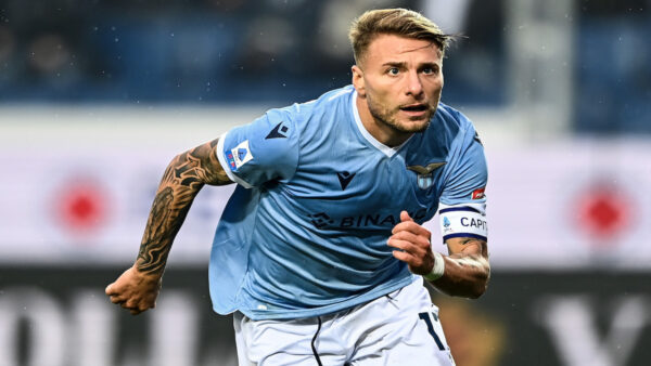 Immobile MG8 7838