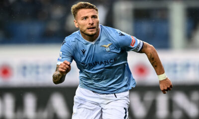 Immobile MG8 7842