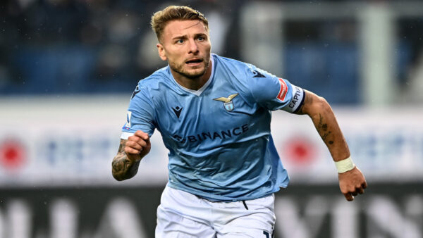 Immobile MG8 7842
