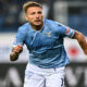 Immobile MG8 7842