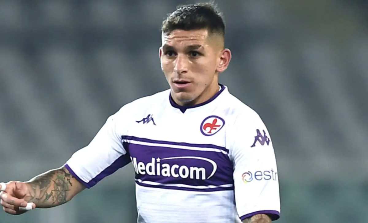 Torreira