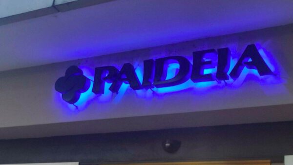 Paideia clinica 2