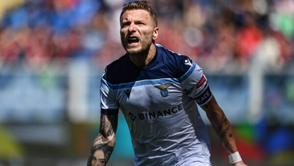 Immobile 2 2