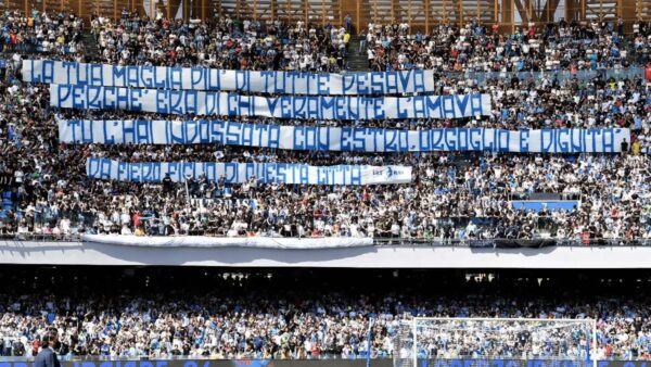 Insigne