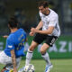 Acerbi Italia Germania