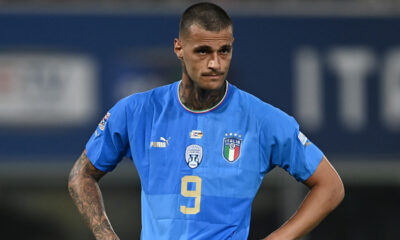Scamacca