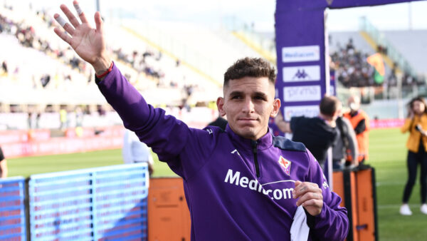 Torreira