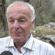 Garanzini