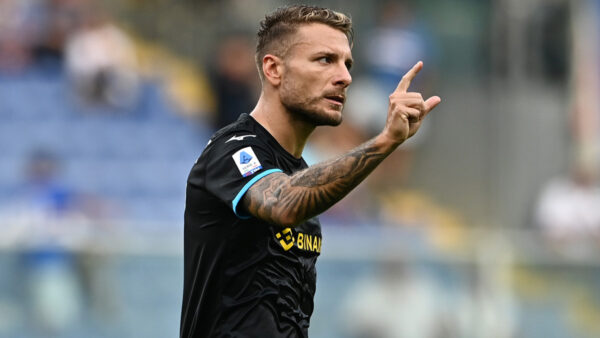 Immobile 14