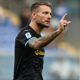 Immobile 14