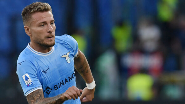 Immobile 2 1