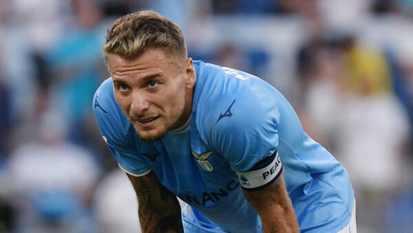 Immobile 3 1