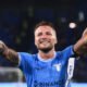 Immobile 6 1