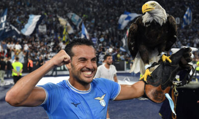 Pedro 6