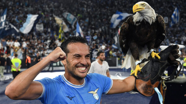 Pedro 6