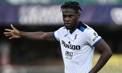 Zapata