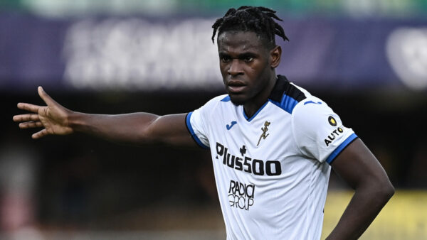 Zapata
