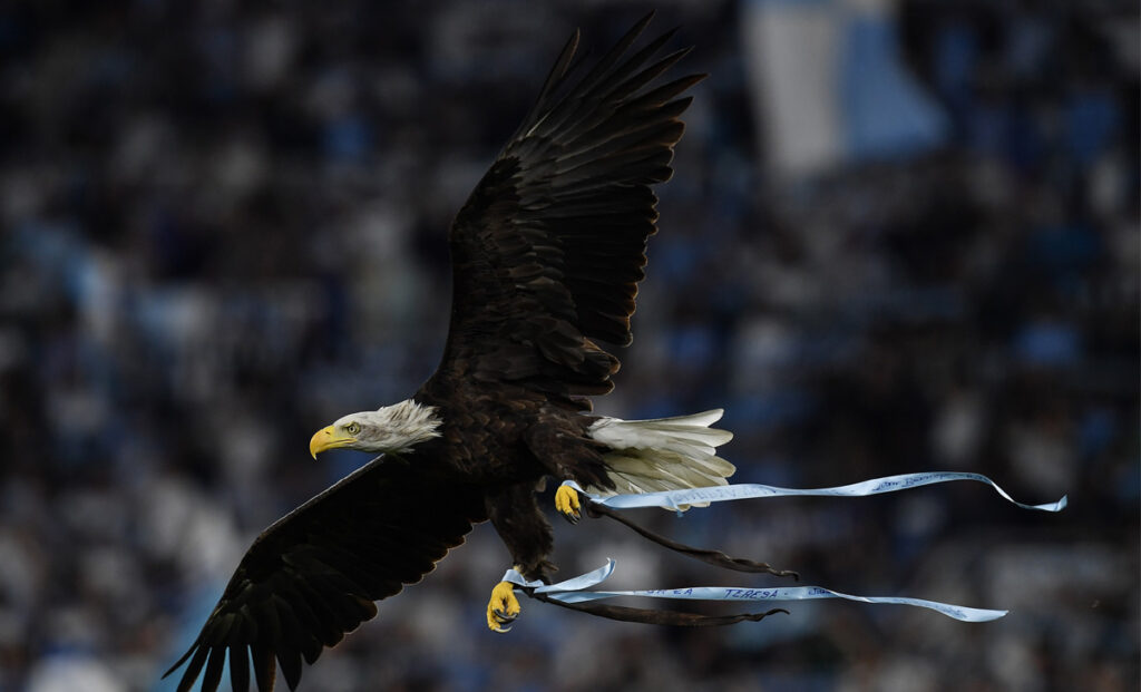 La Lazio si unisce al dolore della famiglia Valdiserri: il messaggio di cordoglio 1 Olimpia