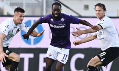Fiorentina Spezia