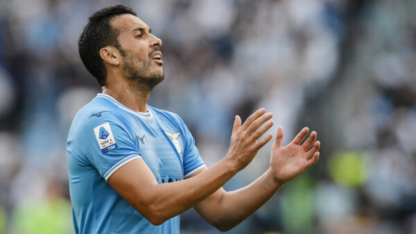 Pedro 6