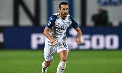 Pedro 8