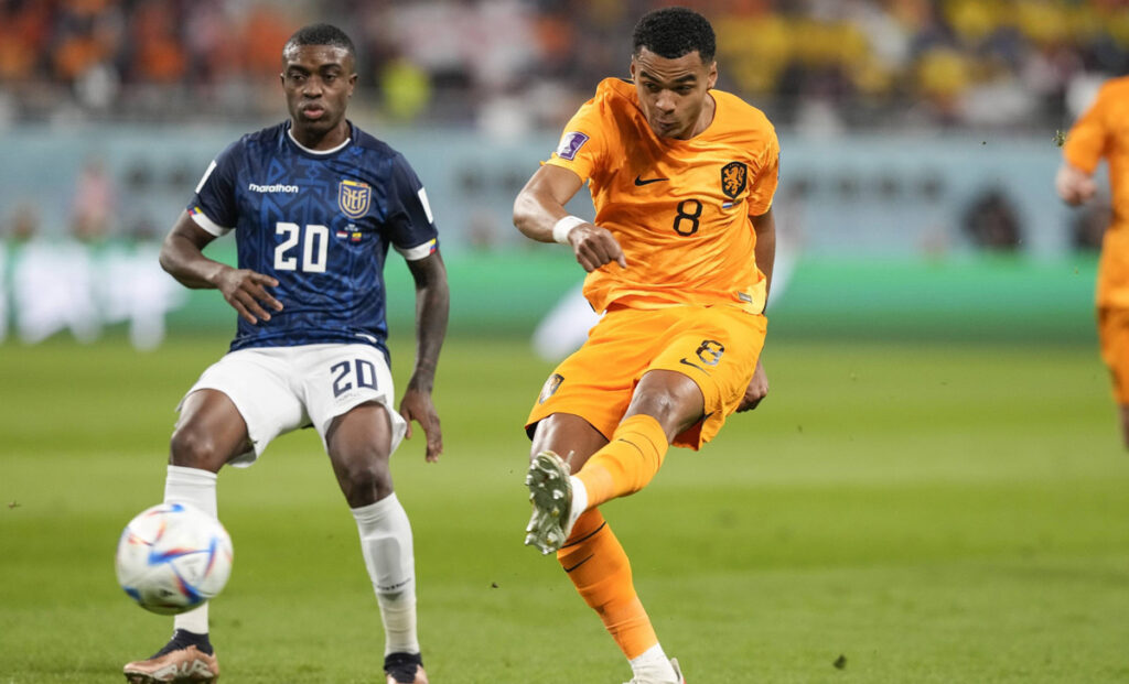 Valencia risponde a Gakpo: finisce 1-1 tra Olanda ed Ecuador 1 Olanda Ecuador