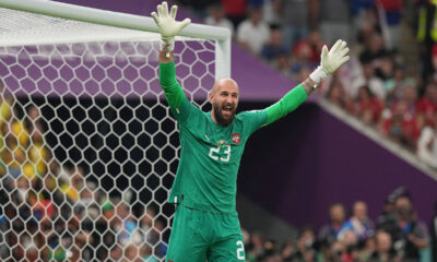 Vanja Milinkovic Savic