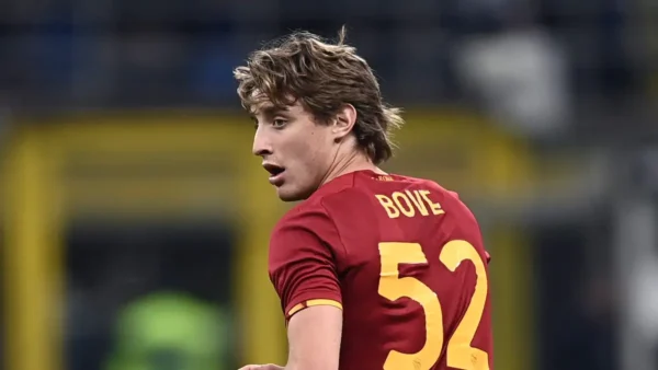 Bove