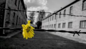 Progetto “16 ottobre”, Lazio e Roma in visita al Liceo Russell