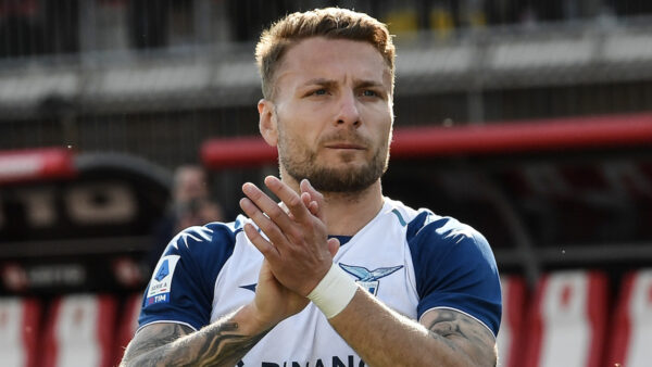 Immobile MG5 3749