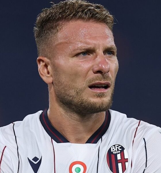 immobile bologna
