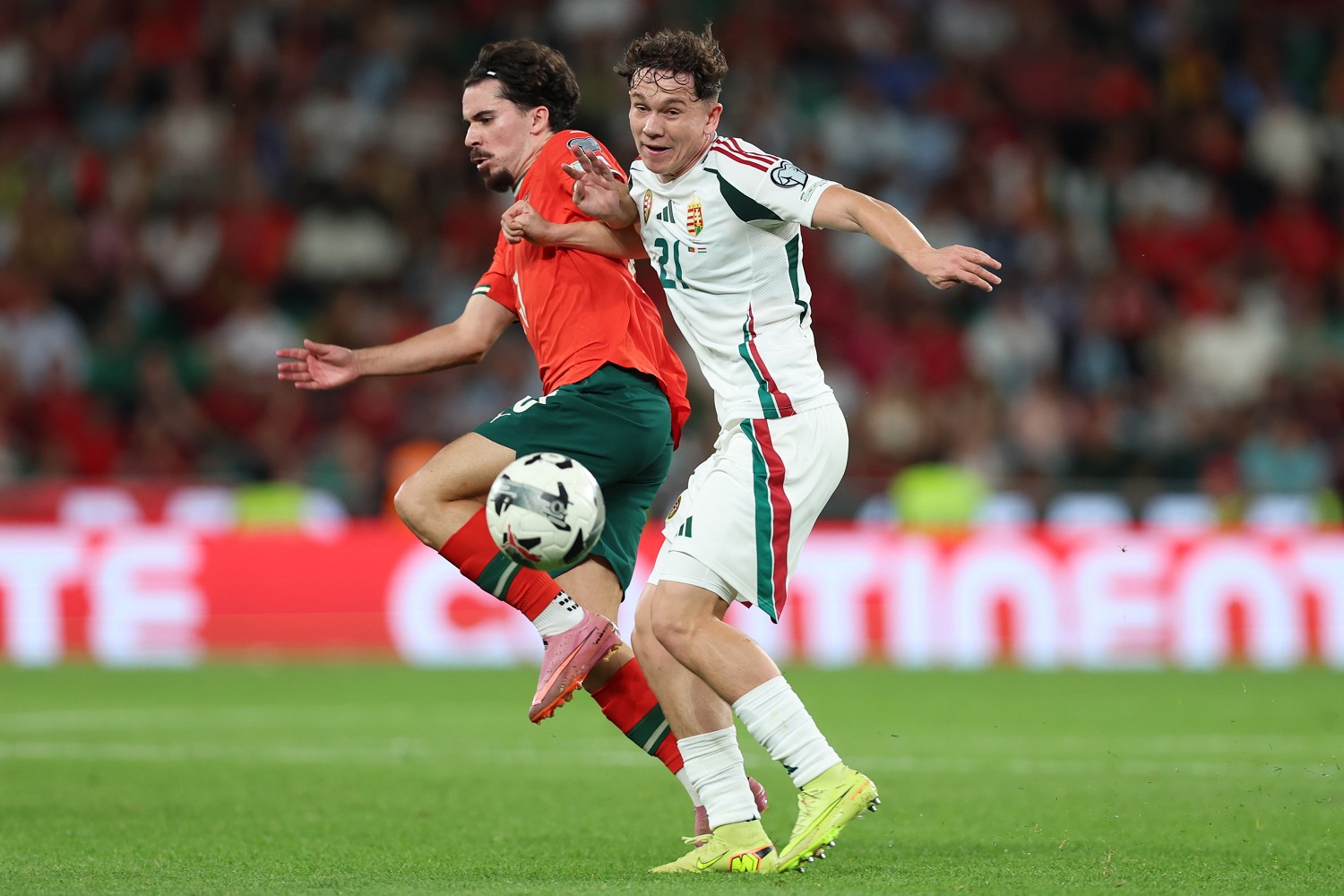 Calciomercato Lazio, non solo Toth e Fabbian: spunta un nuovo nome per il centrocampo! I dettagli 21 Image Photo904408