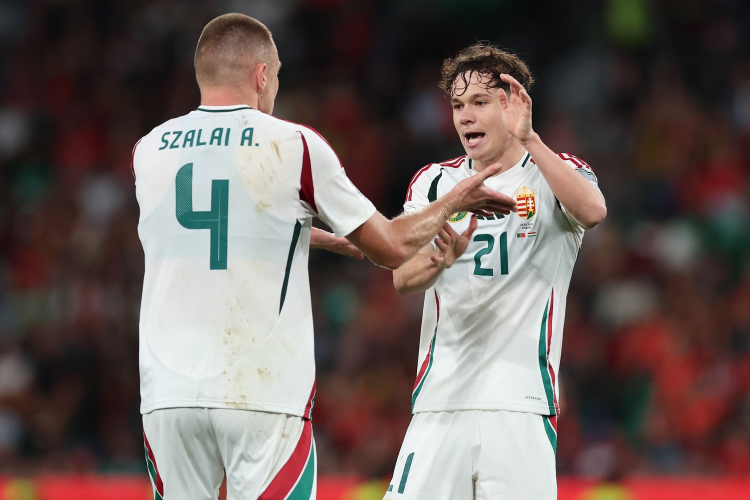 Mercato Lazio, Pedullà: «Si lavora anche per Toth del Ferencvaros, vale dieci milioni» 21 Image Photo904431