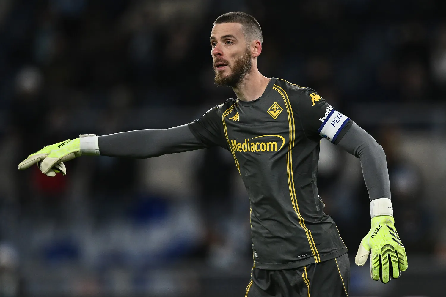 Fiorentina Lazio, De Gea sul match: «Le prossime partite sono decisive, dobbiamo mantenere alta l'attenzione» 21 Image Photo925435