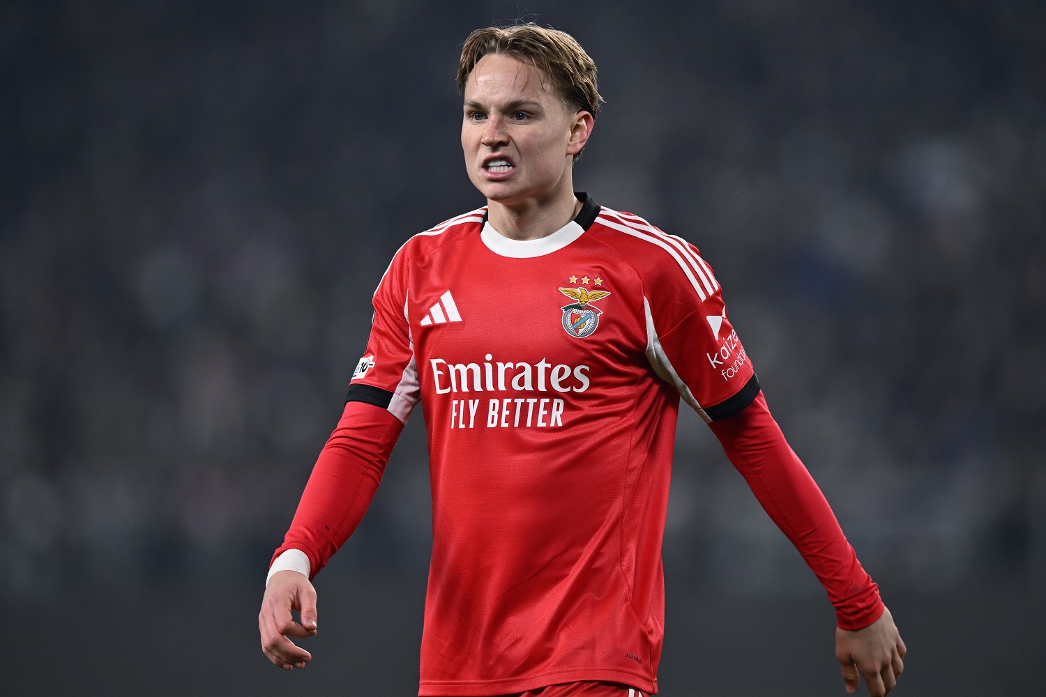 Calciomercato Lazio, interesse per Schjelderup del Benfica! L'indiscrezione 21 Image Photo930109 1