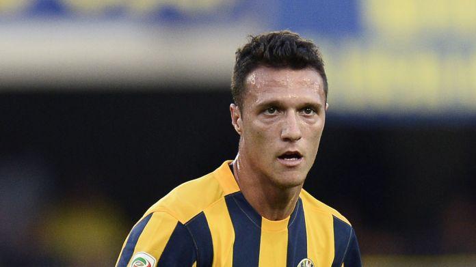 siligardi-verona-agosto-2015-ifa