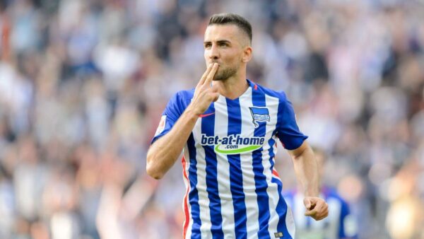 vedad ibisevic