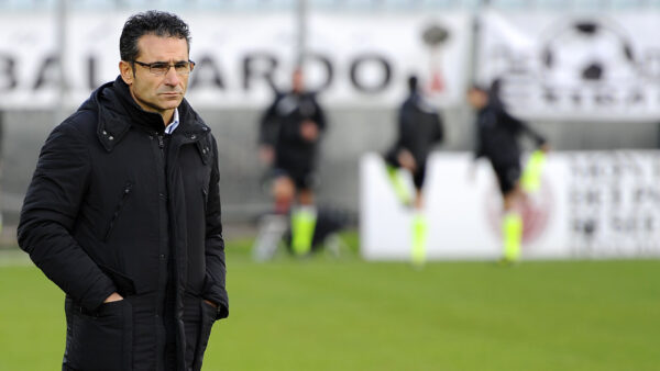 antonelli ds siena ifa