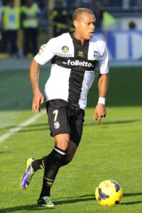 biabiany azione parma 2013 ifa