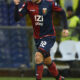 borriello genoa protesta ifa