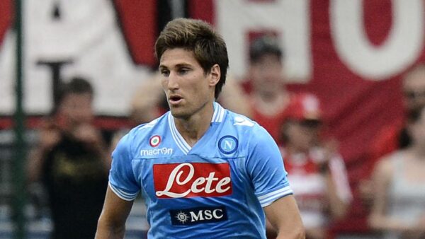 fernandez napoli ifa
