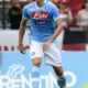 fernandez napoli ifa