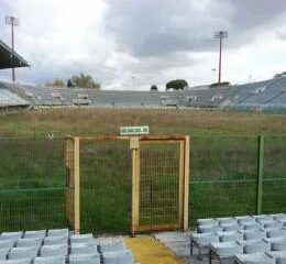 flaminio