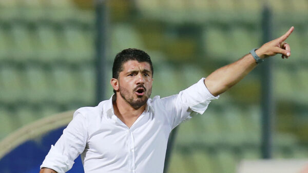 gattuso palermo indicazioni 2013 ifa