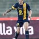 iturbe verona aprile 2014 ifa