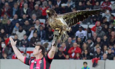 aquila nizza