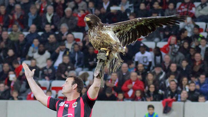 aquila nizza